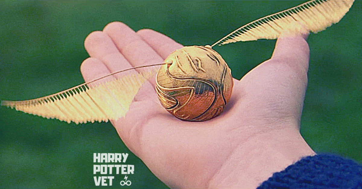 Quidditch Ball Harry Potter